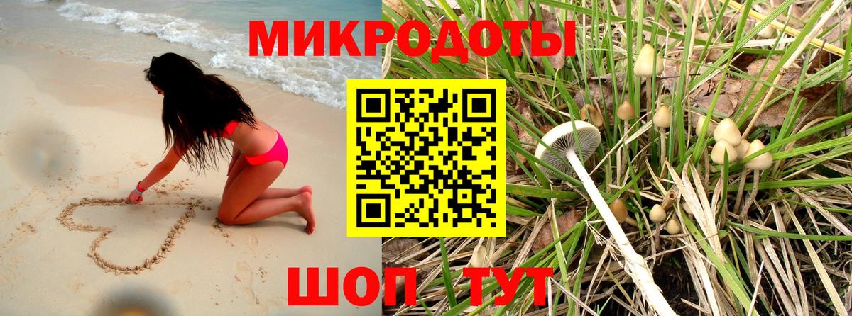 Назрань  Псилоцибиновые грибы GOLDEN TEACHER  Вход с VPN 